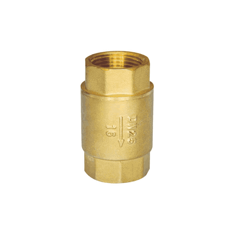 Check Valve
