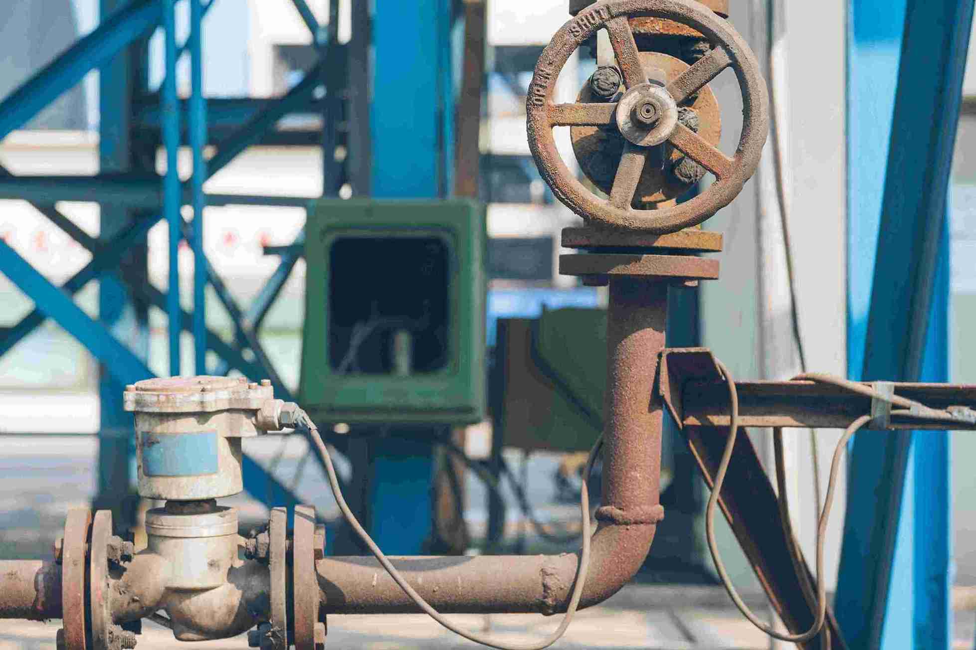 Swing Check Valve